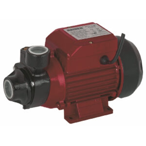 RAIDER Αντλία ηλεκ. περιφερειακή νερού RD-PK60 370W 070101
