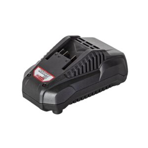 RAIDER R20 Φορτιστής & μπαταρία Li-ion 20V 2Ah RDP-R20 032133