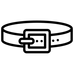 ΖΩΝΗ
