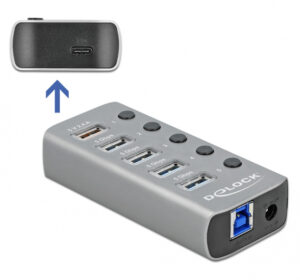 DELOCK USB hub 63263 με διακόπτες, 6x θυρών, 5Gbps, 12V/2.25A PD, γκρι