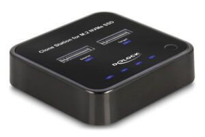 DELOCK docking station για M.2 NVMe SSD 64177, 2 θέσεων, 10Gbps, clone function, μαύρο