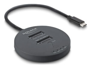 DELOCK docking station για M.2 NVMe PCIe SSD 64364, 2 θέσεων, 20Gbps, clone function, μαύρο